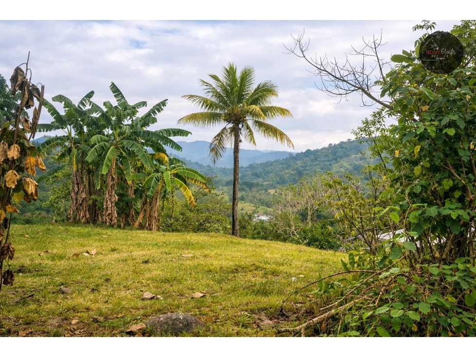 Se Vende Lote en la Vía Cerro Azul/Lot for Sale on Road to Cerro Azul - 3