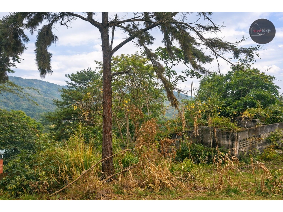 Se Vende Lote en la Vía Cerro Azul/Lot for Sale on Road to Cerro Azul - 4
