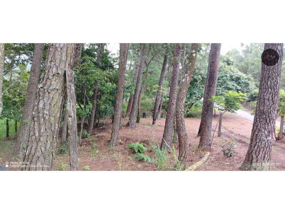 For Sale Land in Hornito Chiriqui/Vendo Tierra en Hornito Chiriquí - 4