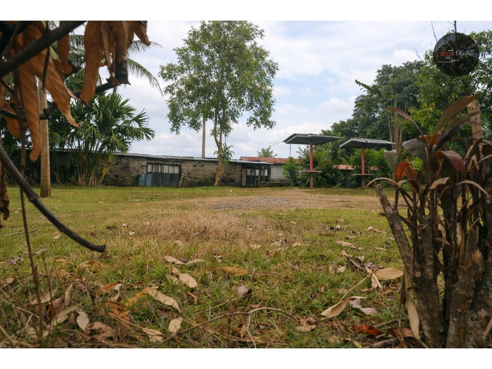 Se Vende Lote en la Vía Cerro Azul/Lot for Sale on Road to Cerro Azul - 5