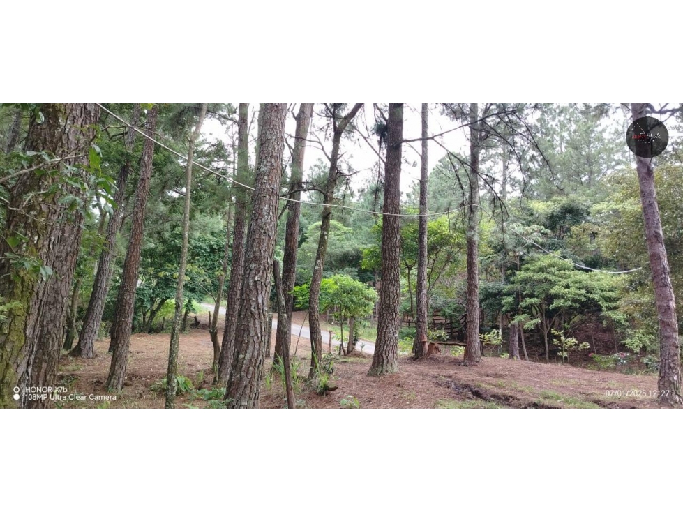 For Sale Land in Hornito Chiriqui/Vendo Tierra en Hornito Chiriquí - 5