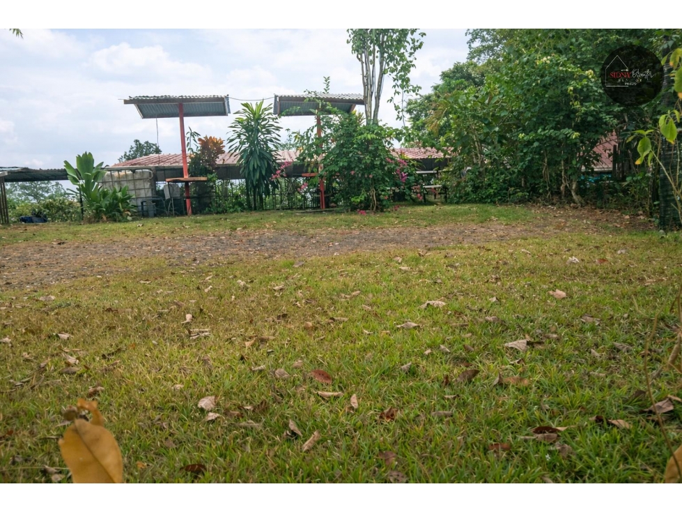Se Vende Lote en la Vía Cerro Azul/Lot for Sale on Road to Cerro Azul - 6