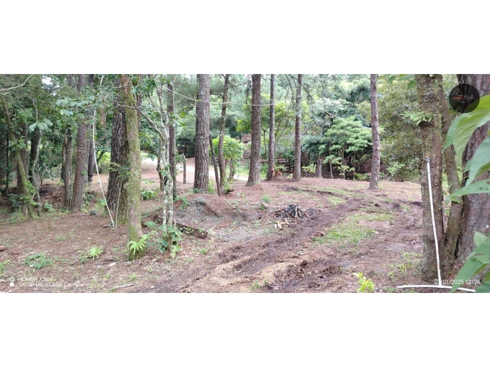 For Sale Land in Hornito Chiriqui/Vendo Tierra en Hornito Chiriquí - 6