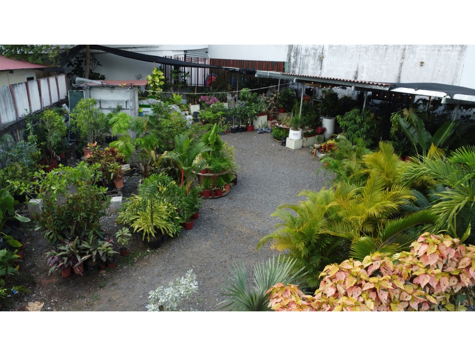 SE VENDE O ALQUILA TERRENO EN COCO DEL MAR — foto 5