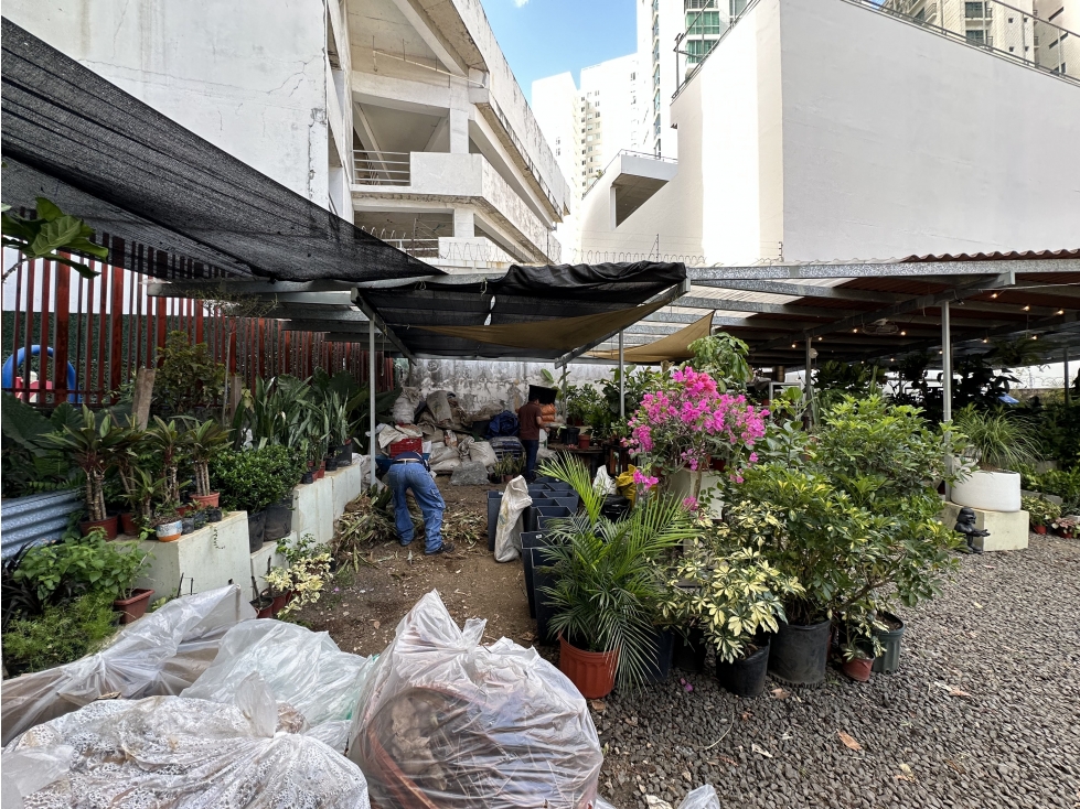 SE VENDE O ALQUILA TERRENO EN COCO DEL MAR — foto 4