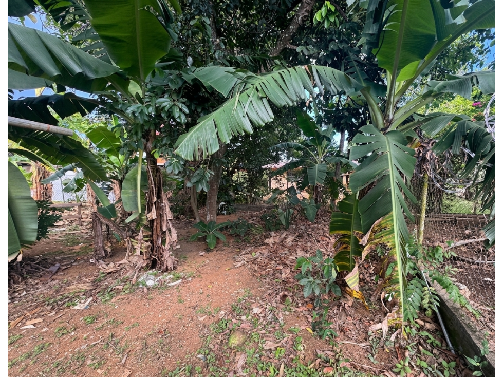 Venta de propiedad comercial en San Cristóbal, David — foto 6