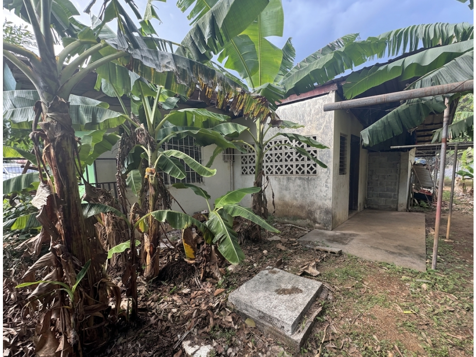 Venta de propiedad comercial en San Cristóbal, David — foto 5