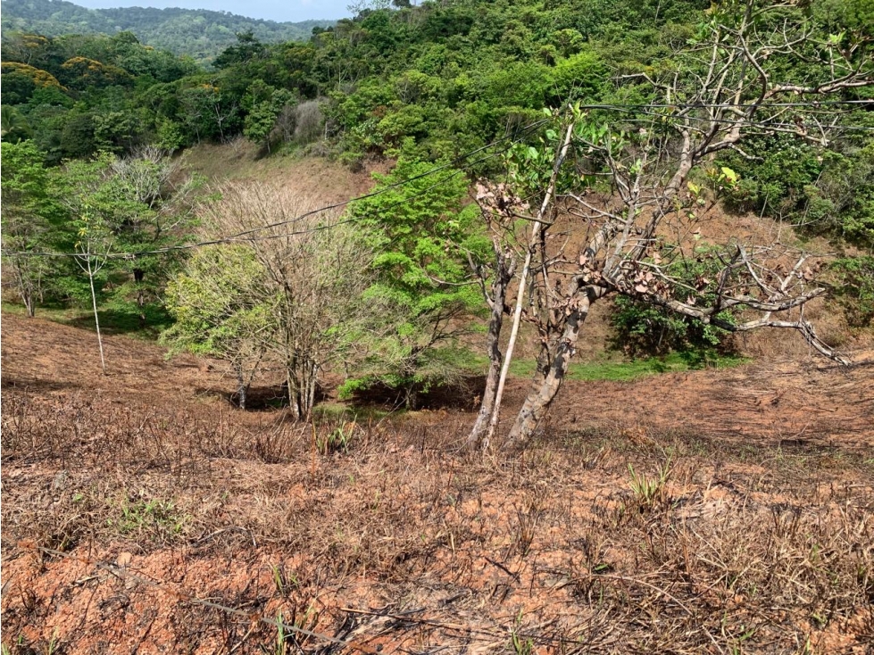 Venta de terreno en Llano de Chepo, camino a San Blas - 2
