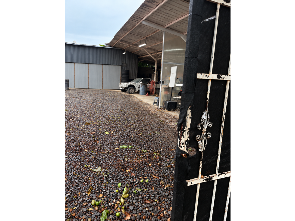 Venta de terreno con galera en El Ingenio Betania - 2