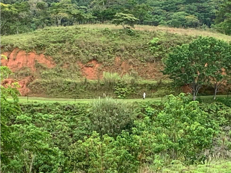 Venta de terreno en Llano de Chepo, camino a San Blas - 3