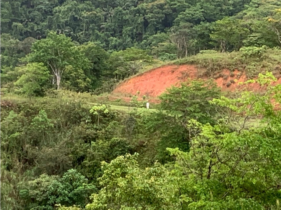 Venta de terreno en Llano de Chepo, camino a San Blas - 4