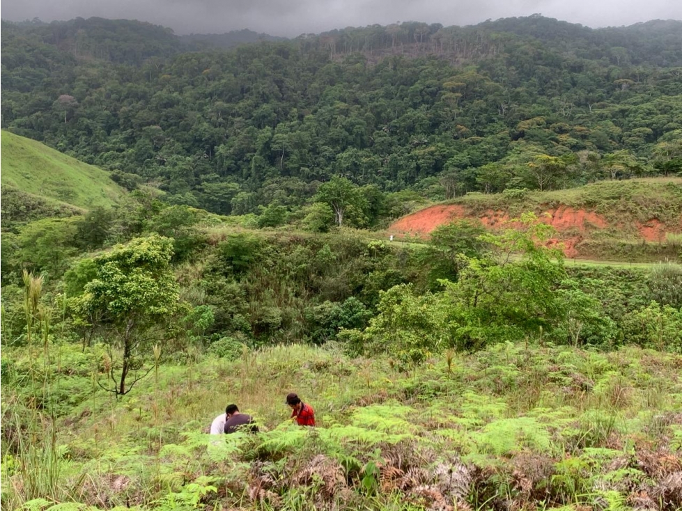 Venta de terreno en Llano de Chepo, camino a San Blas - 5