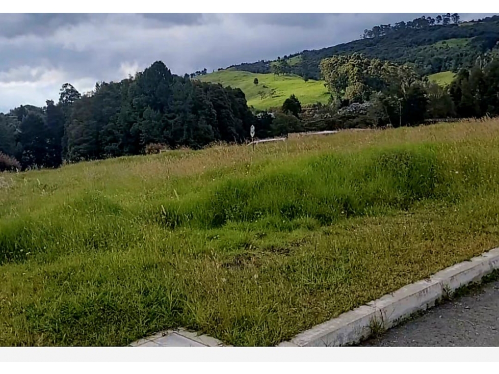 LOTE LAS PALMAS PARA CASA CAMPESTRE