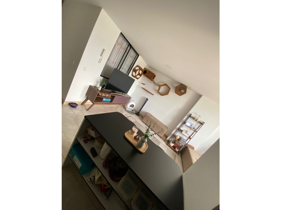 APARTAMENTO — foto 4