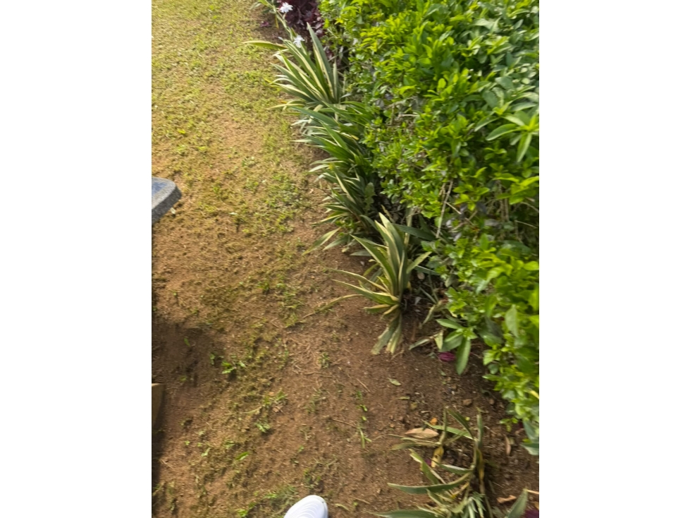CABAÑA — foto 5