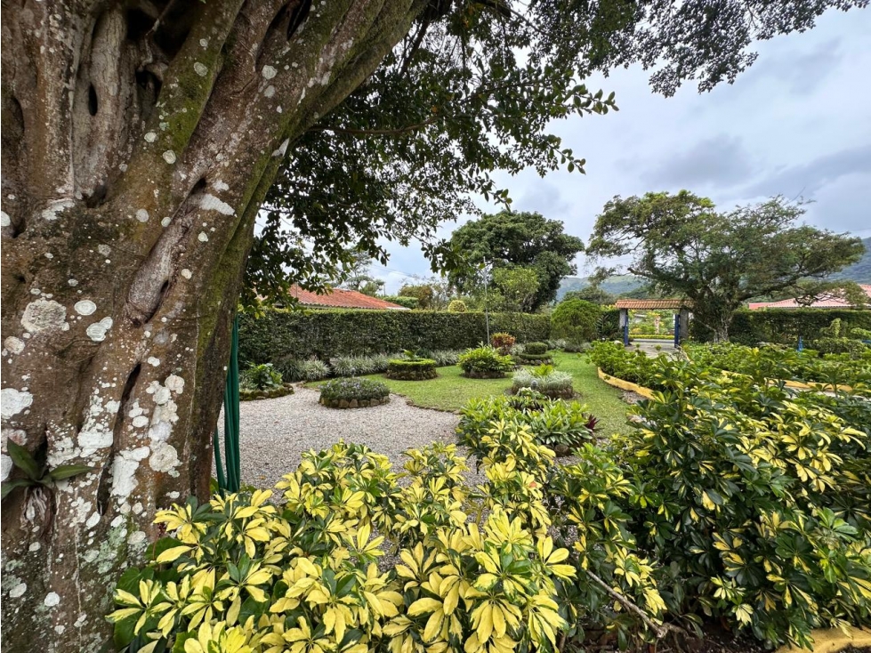 VENTA CASA EN EL VALLE DE ANTON -1,700m2 - 2
