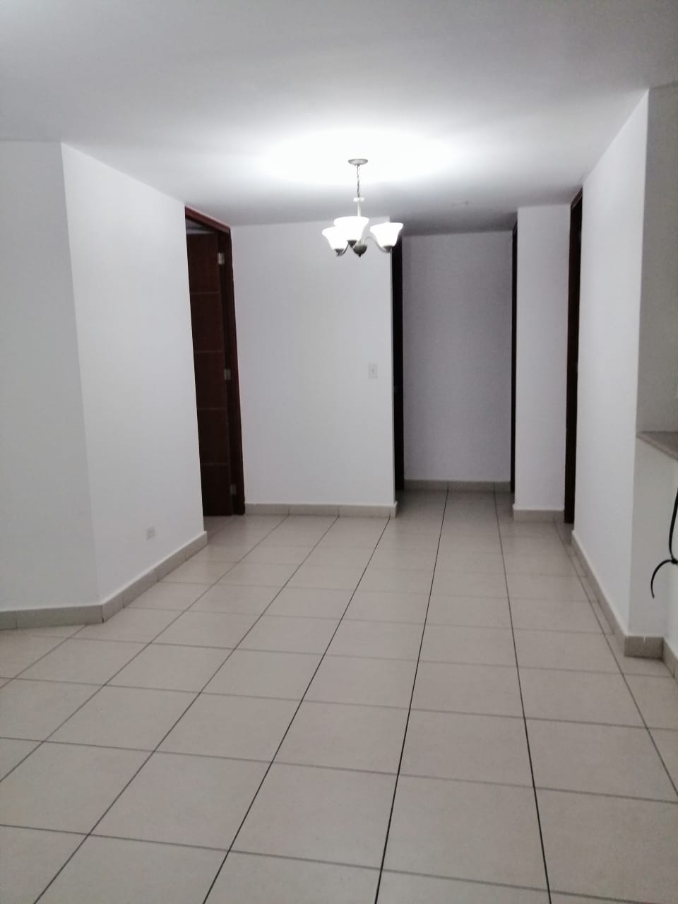 ALQUILER APARTAMENTO VIA TRANSISTMICA