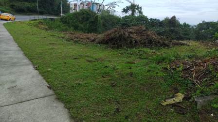 Venta Lote - Castilla - Manizales — foto 3