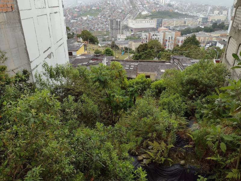 Venta lote - La Leonora - Manizales — foto 2
