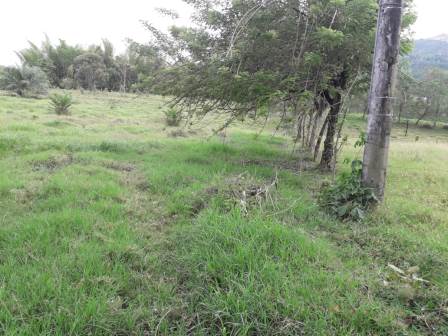 Venta Lote - Cambía - Manizales