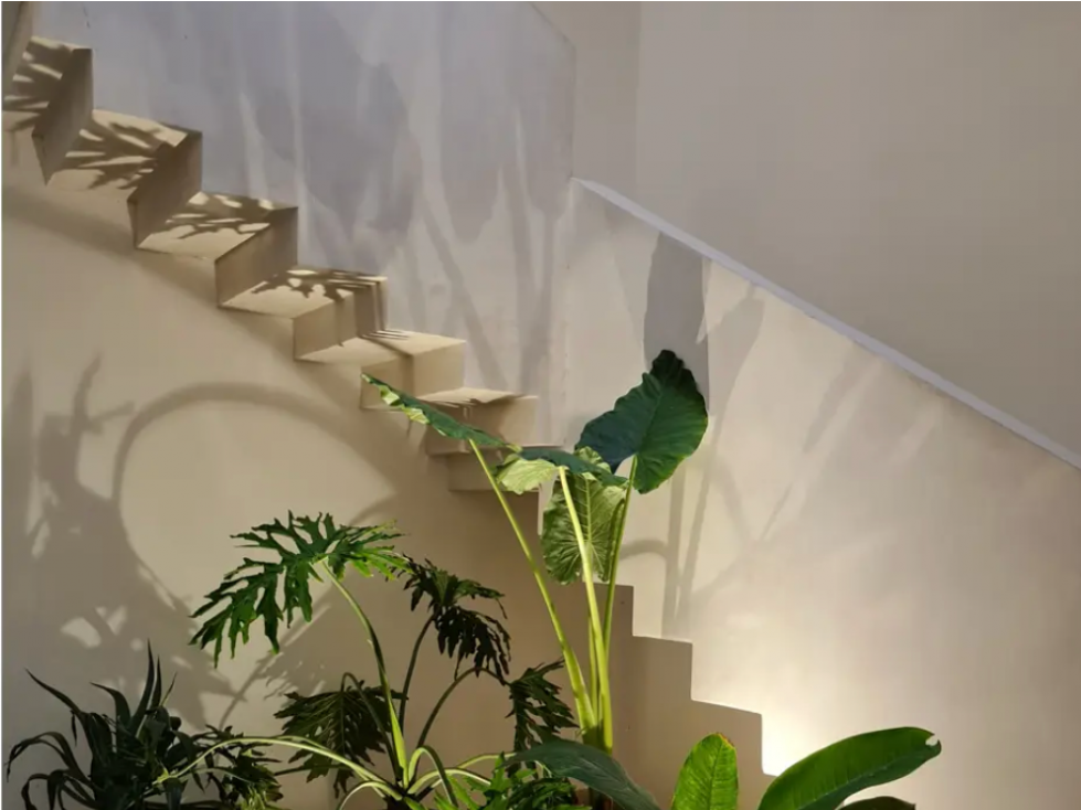 Casa adosada llave en mano en Telchac Puerto - 4