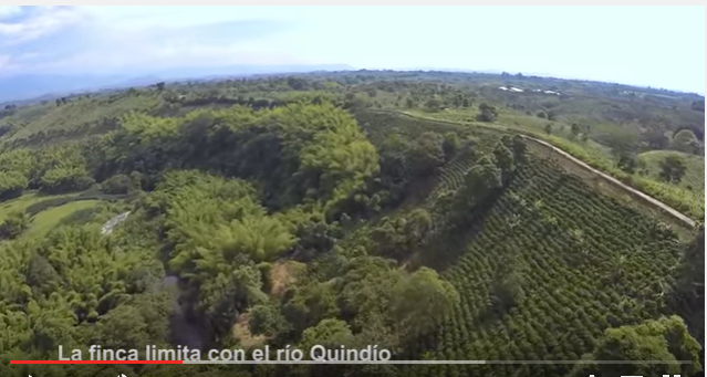 VENTA FINCA EL CAIMO
