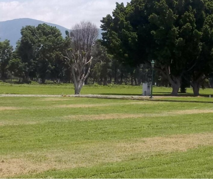 Terreno En Venta En Fracc. Campestre Don Bosco Atlixco-Puebla - 3