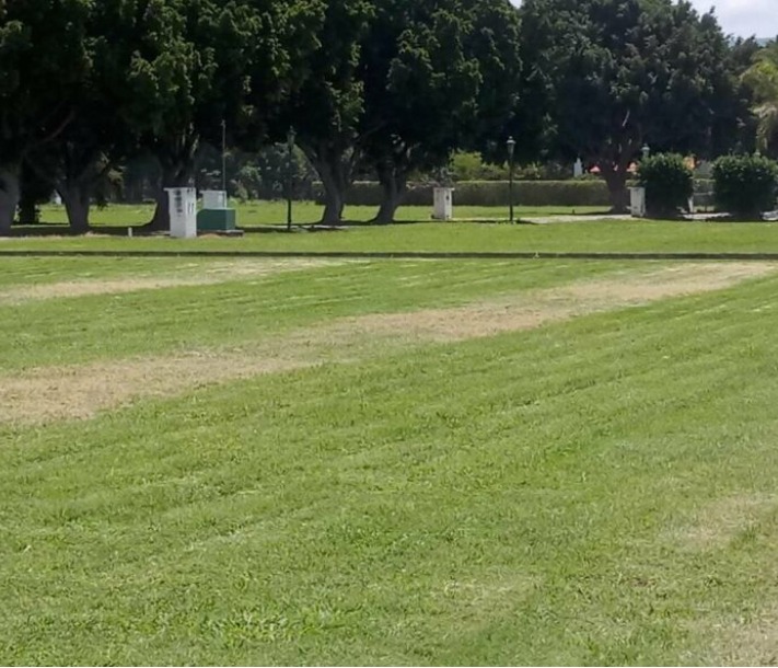 Terreno En Venta En Fracc. Campestre Don Bosco Atlixco-Puebla - 4