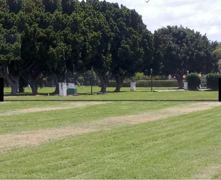 Terreno En Venta En Fracc. Campestre Don Bosco Atlixco-Puebla - 5