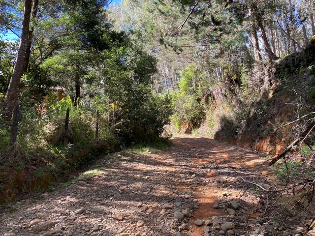 Lote Residencial en Venta, V. Pantanillo (envigado), Aburra Sur — foto 3