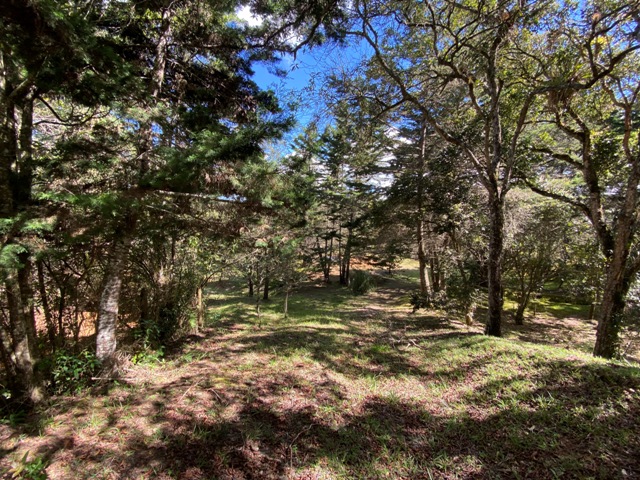 Lote Residencial en Venta, V. Pantanillo (envigado), Aburra Sur — foto 6