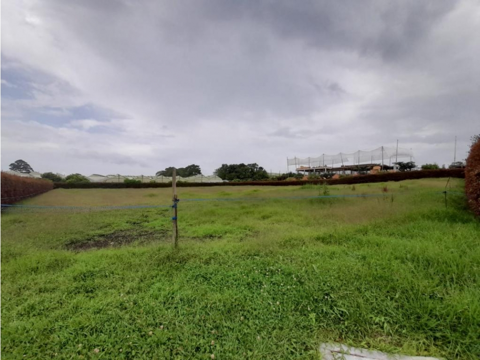 Lote en Venta en Rionegro, Sector Llanogrande. - 1