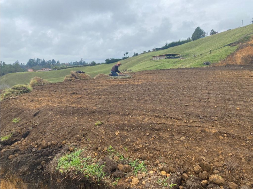 Lote en Venta en Guarne, Sector de San vicente