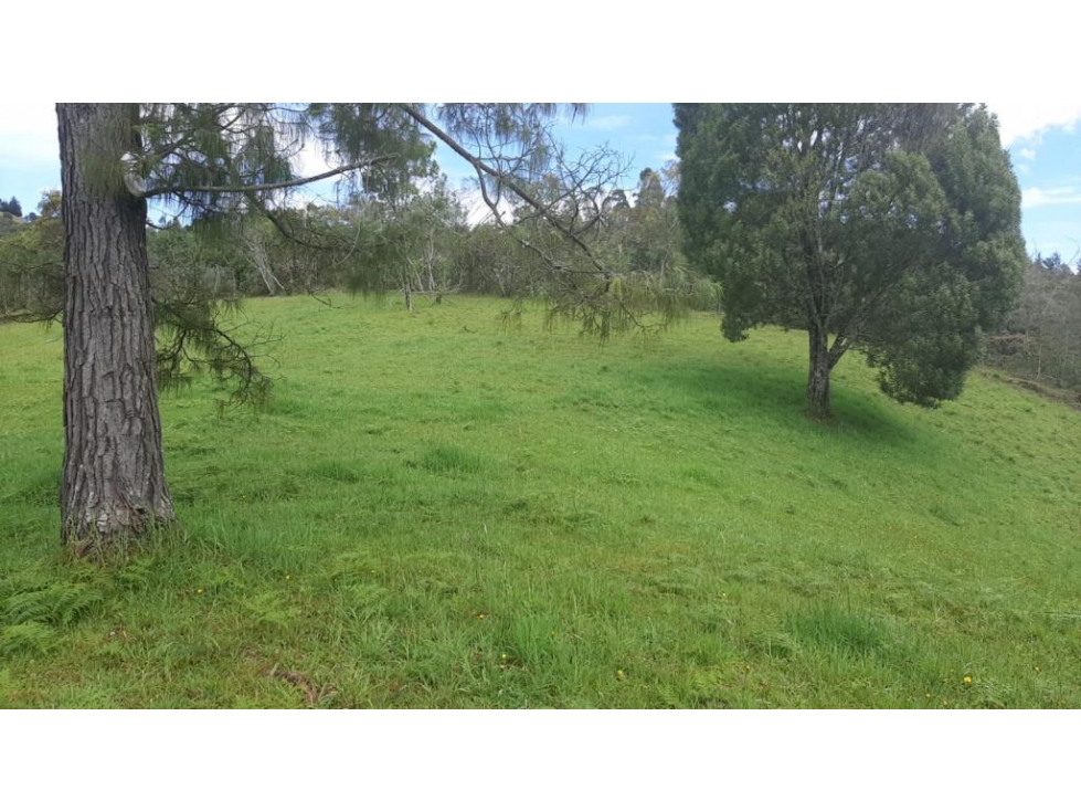 Lote en venta en ENVIGADO, Sector Alto de palmas. — foto 3