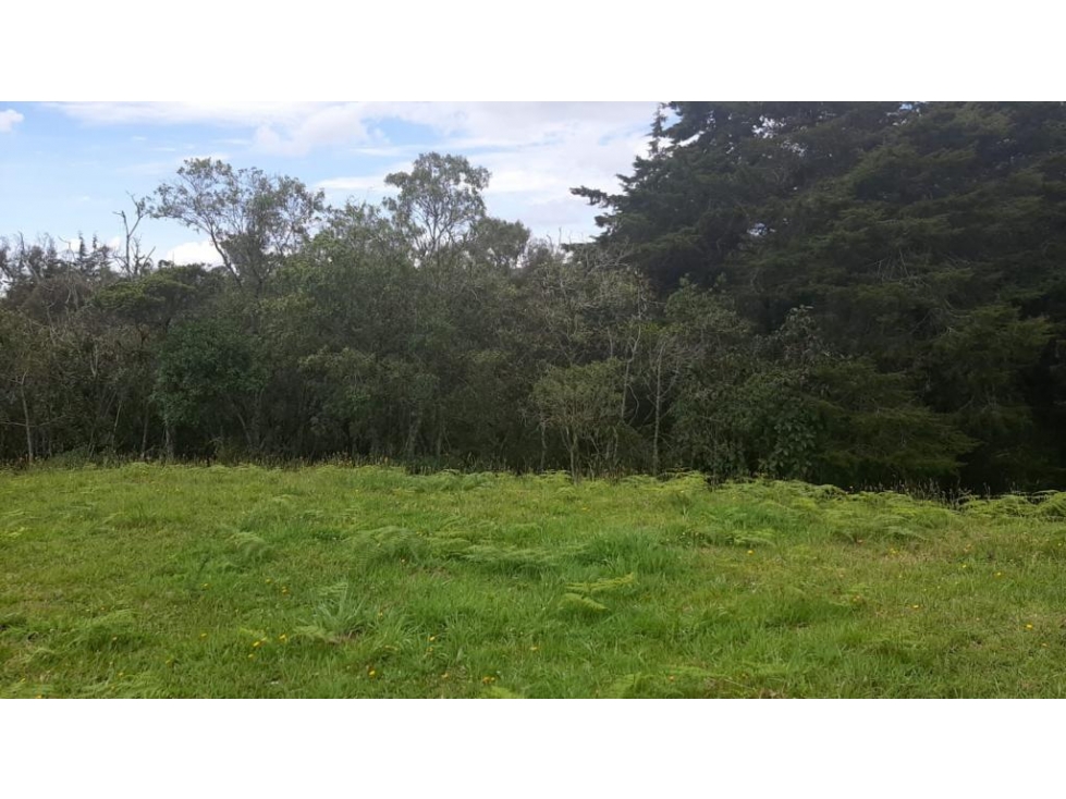 Lote en venta en ENVIGADO, Sector Alto de palmas. — foto 4