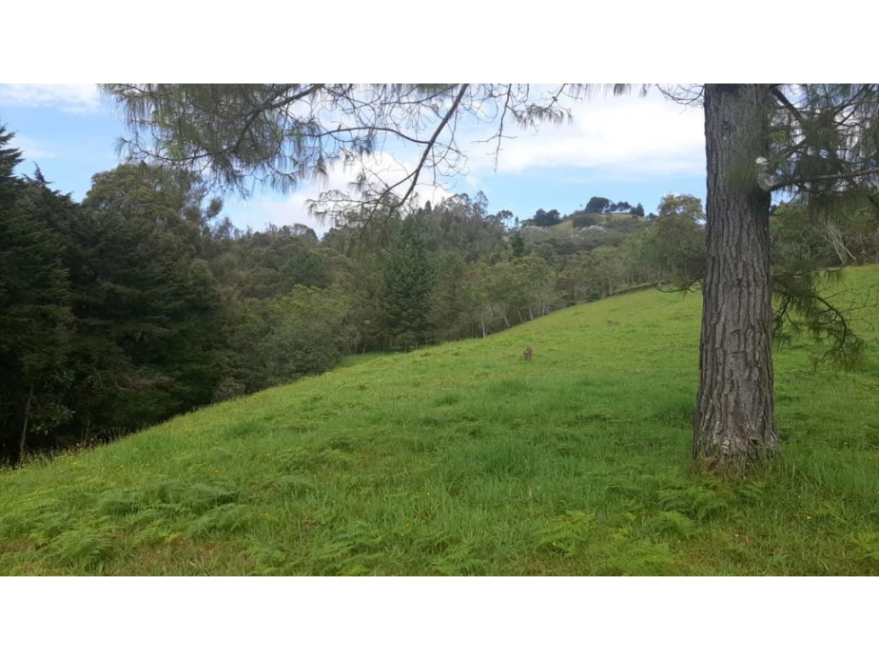 Lote en venta en ENVIGADO, Sector Alto de palmas. — foto 6