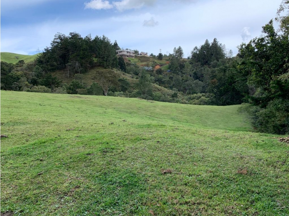 Lote en Venta en Envigado, Sajonia, antes del Peaje — foto 2