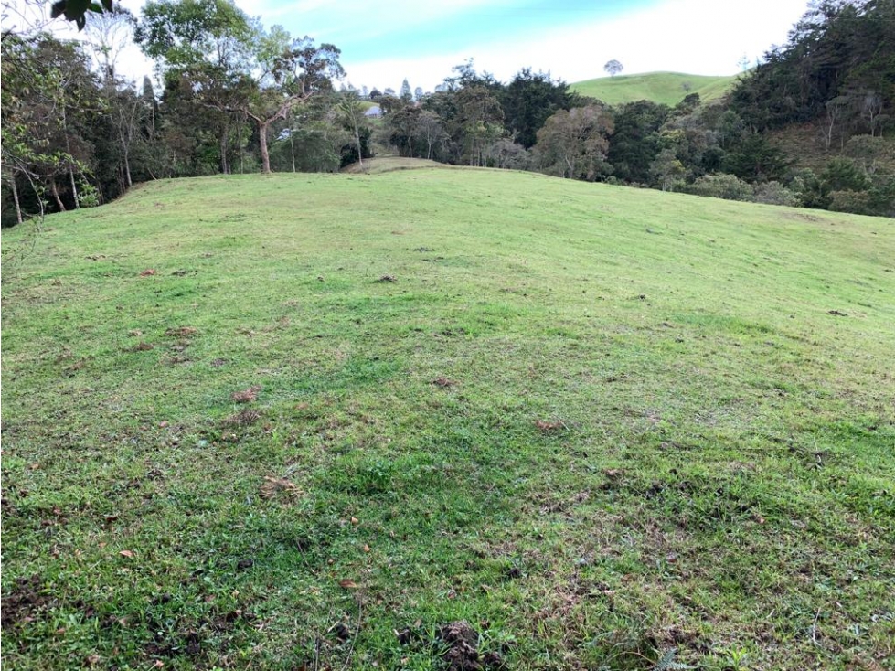 Lote en Venta en Envigado, Sajonia, antes del Peaje — foto 3