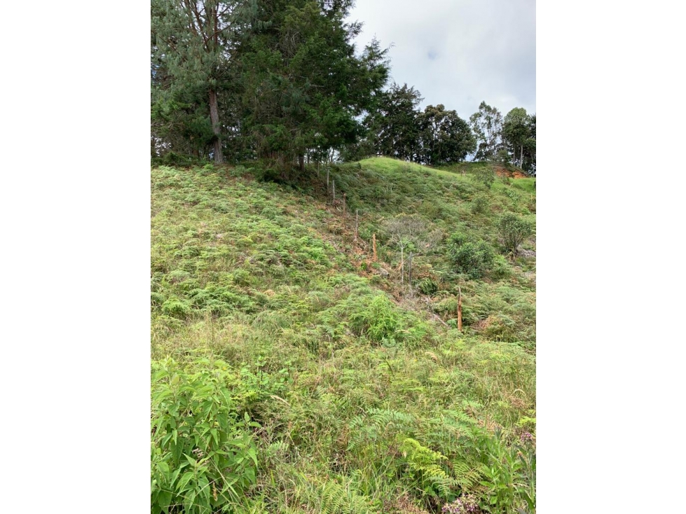 Lote en Venta en Envigado, Sajonia, antes del Peaje — foto 5