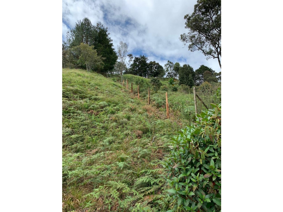 Lote en Venta en Envigado, Sajonia, antes del Peaje — foto 6