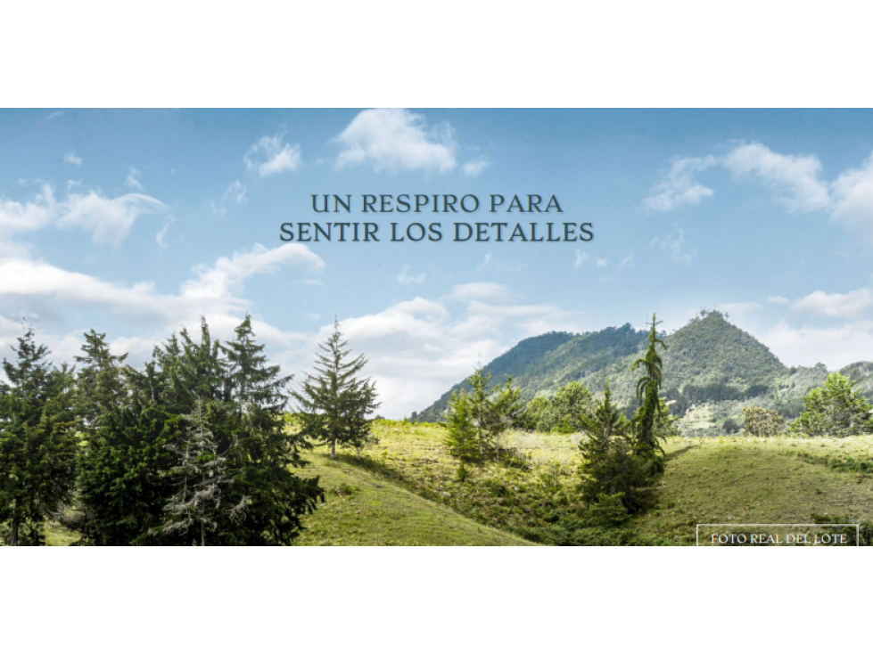Lote en venta en LA CEJA, sector Vía san Antonio - la ceja. — foto 3