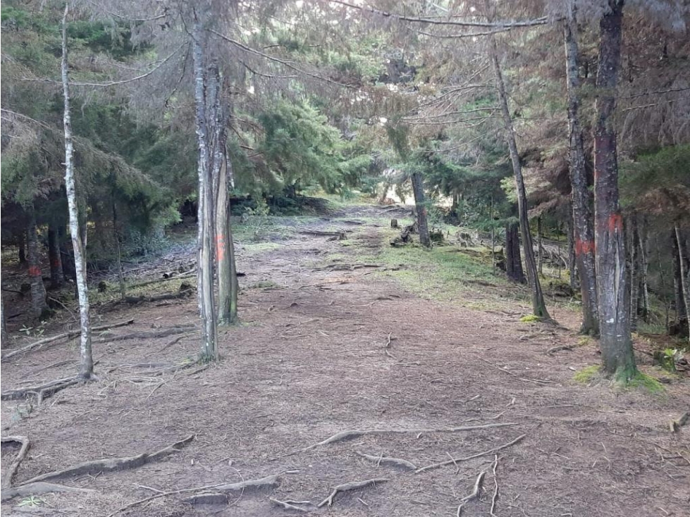 Lote en venta en RIONEGRO, Sector Sajonia. - 1