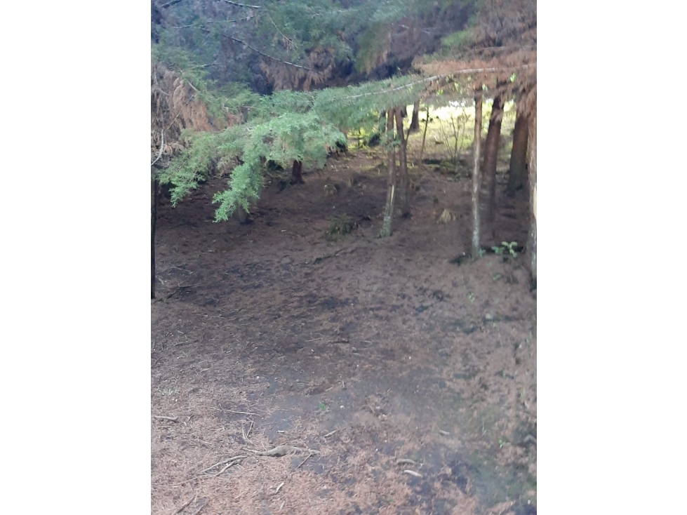 Lote en venta en RIONEGRO, Sector Sajonia. - 2