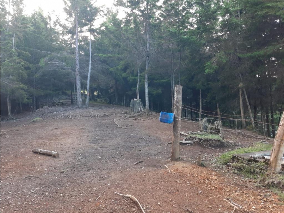 Lote en venta en RIONEGRO, Sector Sajonia. - 3
