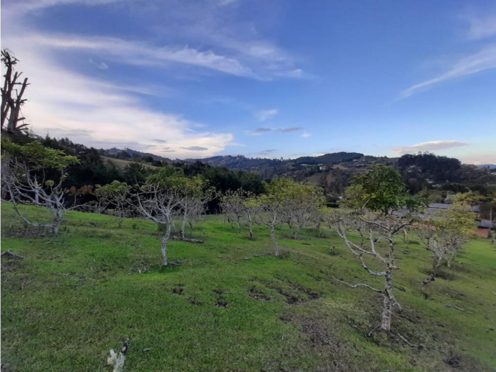 Lote en venta en RIONEGRO, Sector Sajonia. - 5