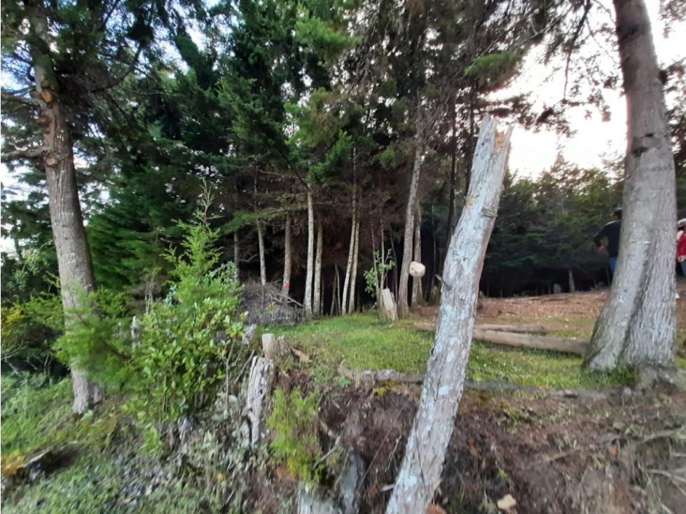 Lote en venta en RIONEGRO, Sector Sajonia. - 6
