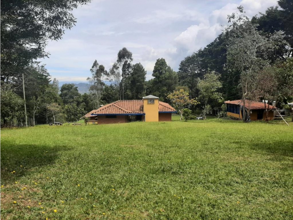 Lote Comercial Vitrina en venta en ENVIGADO, sector Alto Palmas. — foto 2