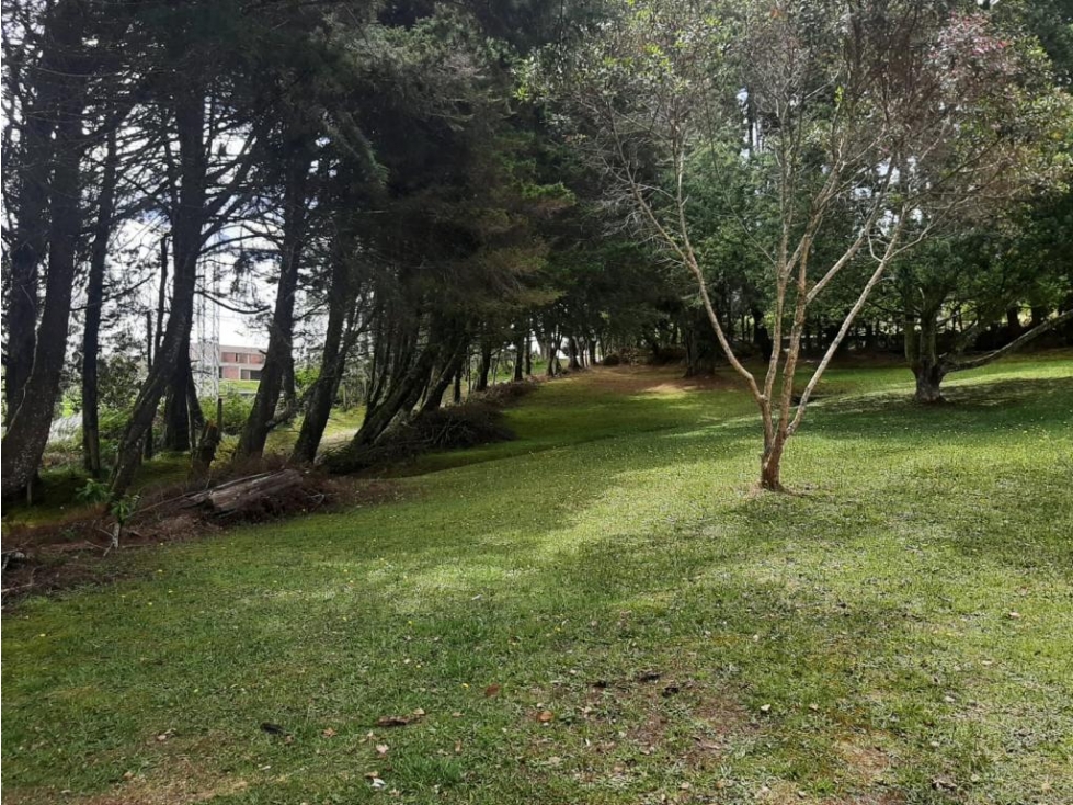 Lote Comercial Vitrina en venta en ENVIGADO, sector Alto Palmas. — foto 3