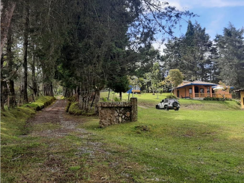 Lote Comercial Vitrina en venta en ENVIGADO, sector Alto Palmas. — foto 5