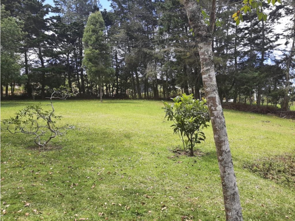 Lote Comercial Vitrina en venta en ENVIGADO, sector Alto Palmas. — foto 6